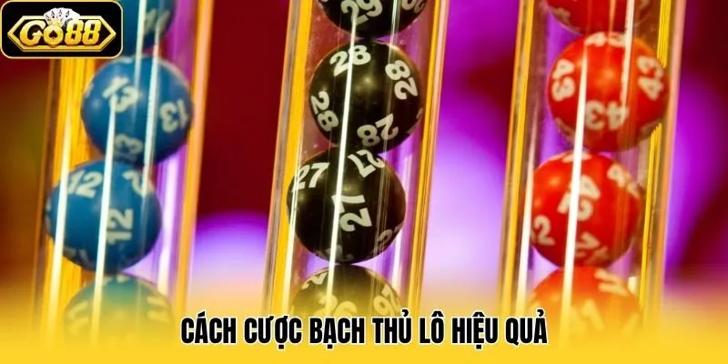 Bạch Thủ Lô - Hình Thức Cược Hấp Dẫn Tại Xổ Số Go88 2 Cách cược bạch thủ lô hiệu quả